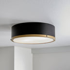  Irving Park 2-Light Flush Mount, Matte Black Finish, Burnished Brass Accents, Frosted Glass Shade, LED Bulbs Included