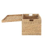  XL Hyacinth Storage Trunk