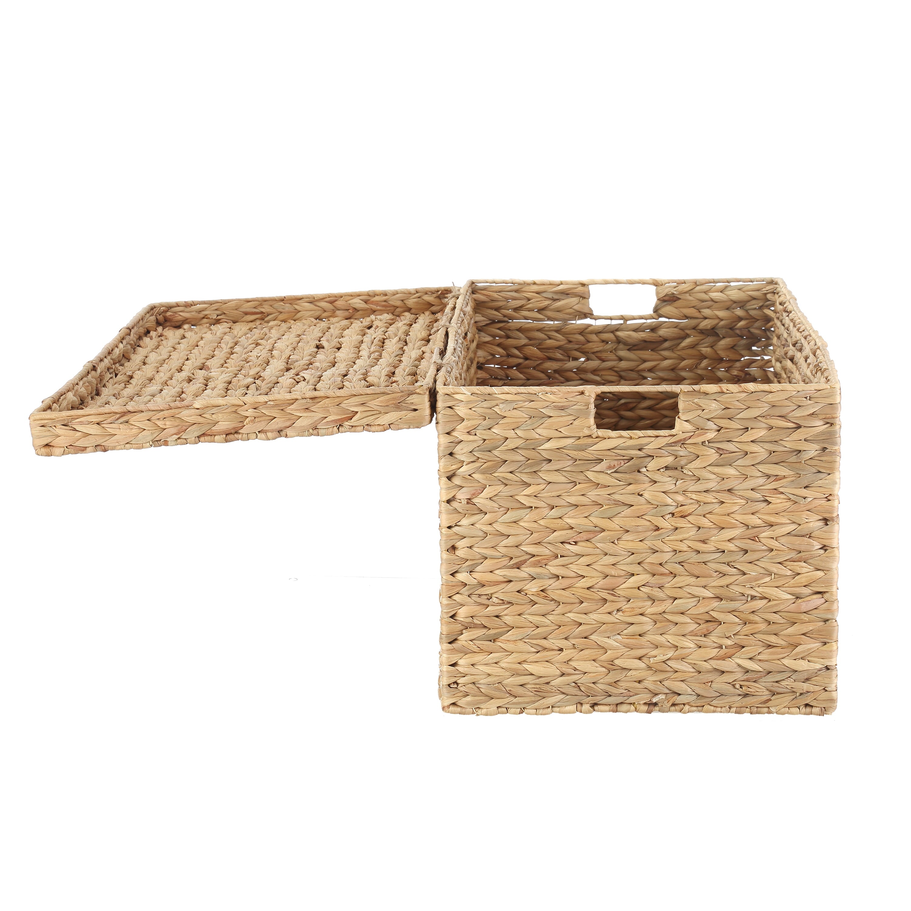  XL Hyacinth Storage Trunk
