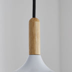 &Gardens Single Head Pendant White,1 A19 Bulb,1PK