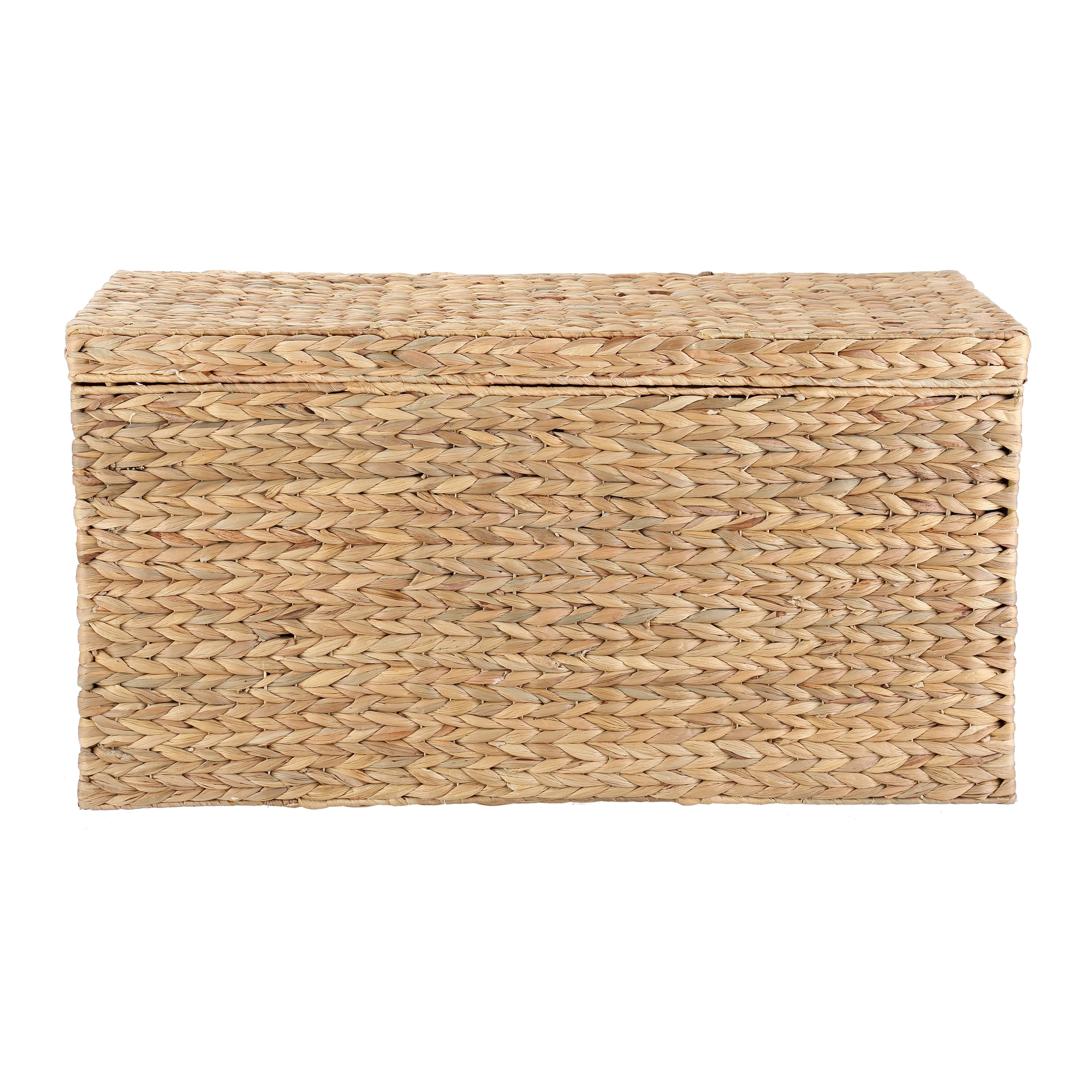  XL Hyacinth Storage Trunk