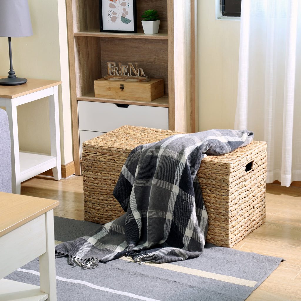  XL Hyacinth Storage Trunk