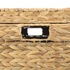  XL Hyacinth Storage Trunk