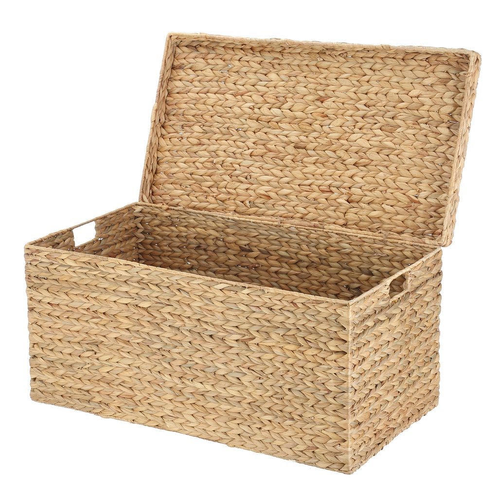  XL Hyacinth Storage Trunk