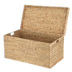  XL Hyacinth Storage Trunk