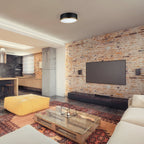  Irving Park 2-Light Flush Mount, Matte Black Finish, Burnished Brass Accents, Frosted Glass Shade, LED Bulbs Included