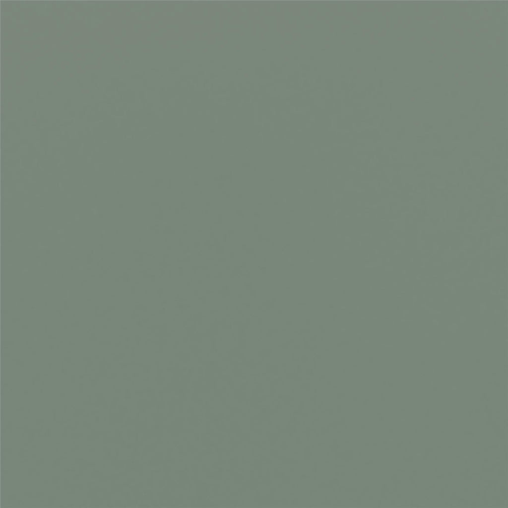 (2 pack)  Leighton Kids Solid Wood Twin-over-Twin Convertible Bunk Bed with Ladder and Guardrails, Sage Green