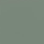 (2 pack)  Leighton Kids Solid Wood Twin-over-Twin Convertible Bunk Bed with Ladder and Guardrails, Sage Green