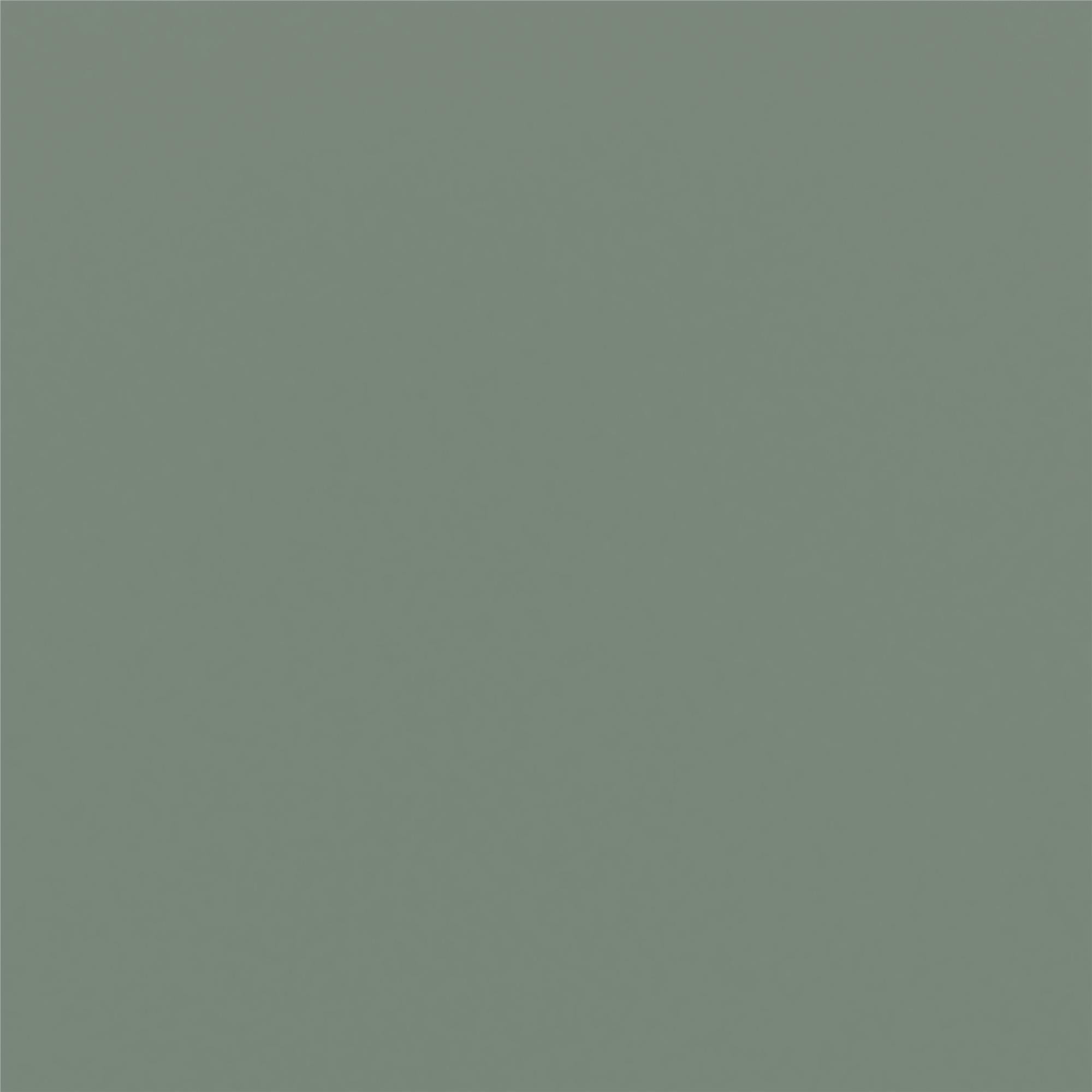 (2 pack)  Leighton Kids Solid Wood Twin-over-Twin Convertible Bunk Bed with Ladder and Guardrails, Sage Green