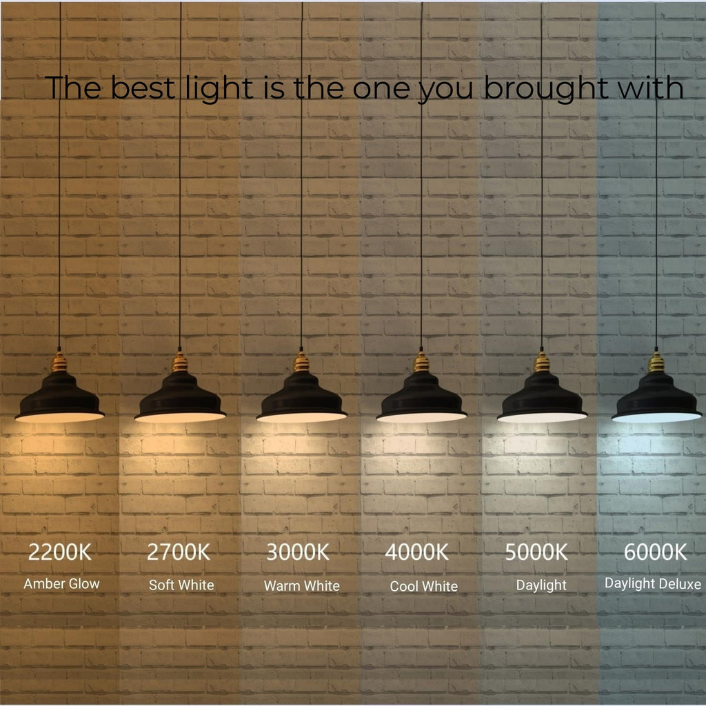  Modern Vanity Light, Brass Finish, Frosted Glass Shades, T6 LED Bulbs