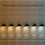  Modern Vanity Light, Brass Finish, Frosted Glass Shades, T6 LED Bulbs