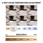  52" Hayden Matte Black Indoor/Outdoor Hugger Ceiling Fan with Light Kit and Remote Control