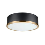  Irving Park 2-Light Flush Mount, Matte Black Finish, Burnished Brass Accents, Frosted Glass Shade, LED Bulbs Included