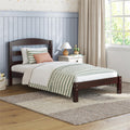  Leighton Kids Twin Size Bed, Wood Platform Bed Frame, Espresso