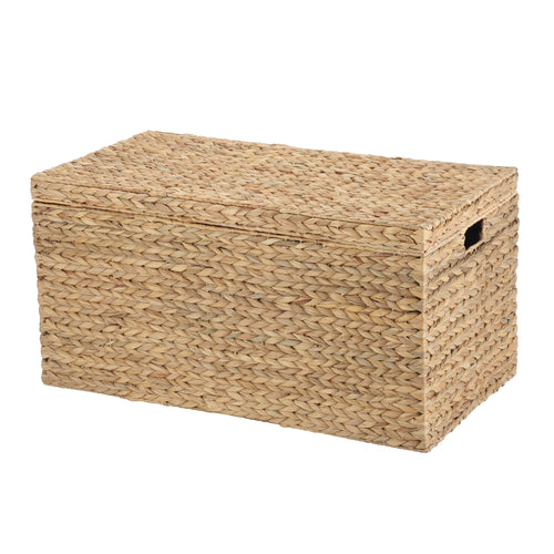  XL Hyacinth Storage Trunk