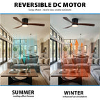  52" Hayden Matte Black Indoor/Outdoor Hugger Ceiling Fan with Light Kit and Remote Control