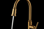  Modern Heirloom Pull Down Kitchen Faucet, Heritage Gold