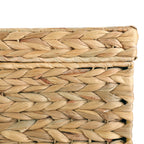  XL Hyacinth Storage Trunk