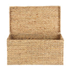  XL Hyacinth Storage Trunk