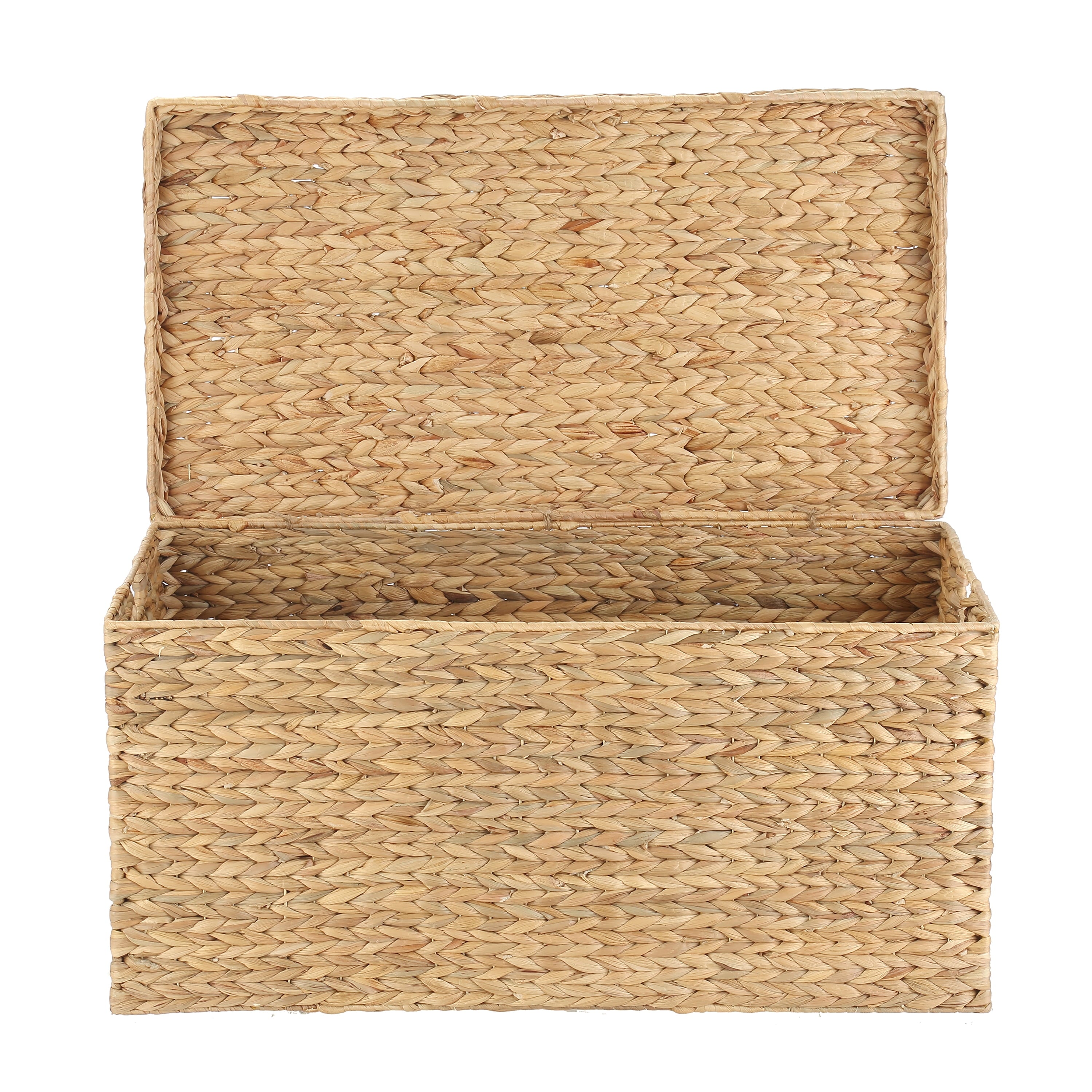  XL Hyacinth Storage Trunk