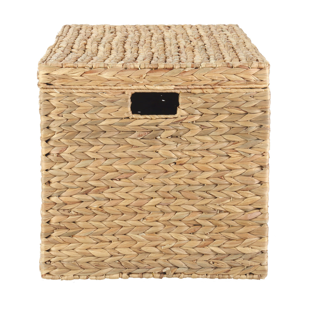  XL Hyacinth Storage Trunk