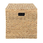  XL Hyacinth Storage Trunk