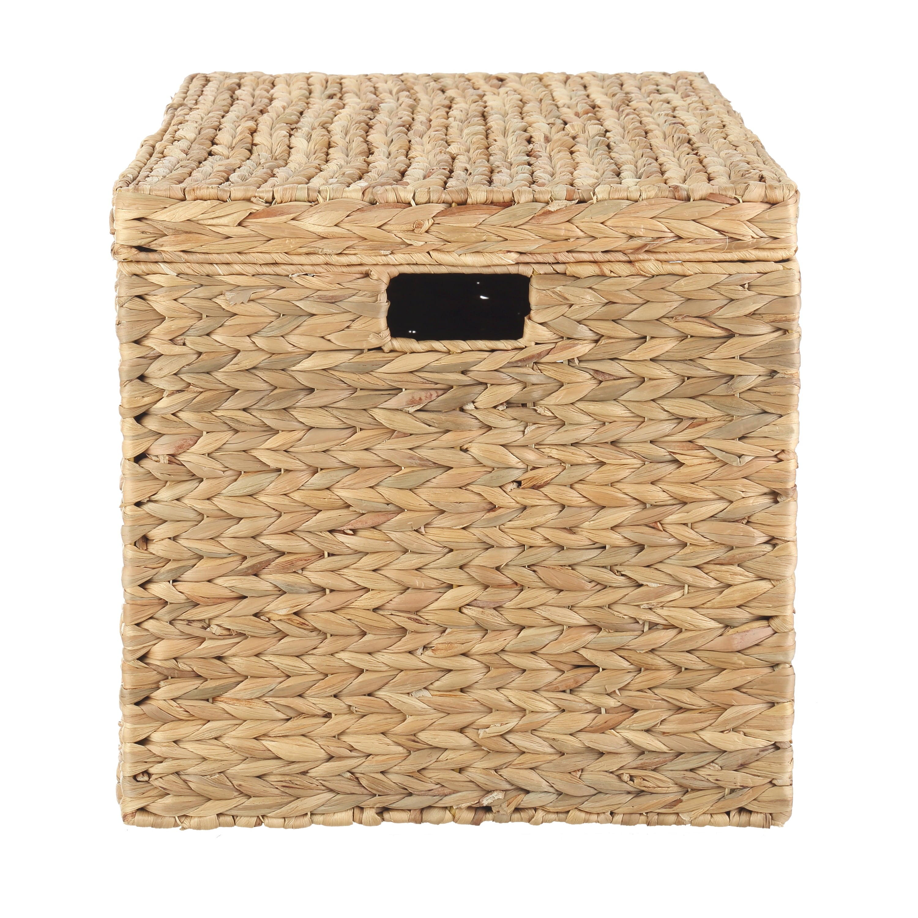  XL Hyacinth Storage Trunk