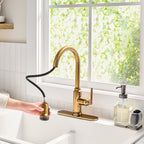  Modern Heirloom Pull Down Kitchen Faucet, Heritage Gold