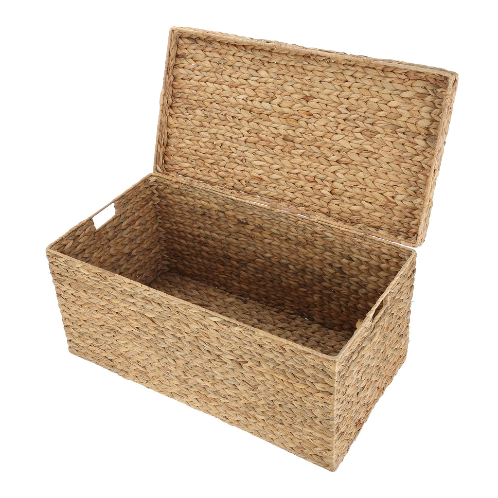  XL Hyacinth Storage Trunk