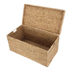  XL Hyacinth Storage Trunk
