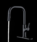  Sleek Simplicity Matte Black Pull Down Kitchen Faucet