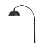  Black Finish Arch Dome Floor Lamp
