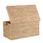  XL Hyacinth Storage Trunk