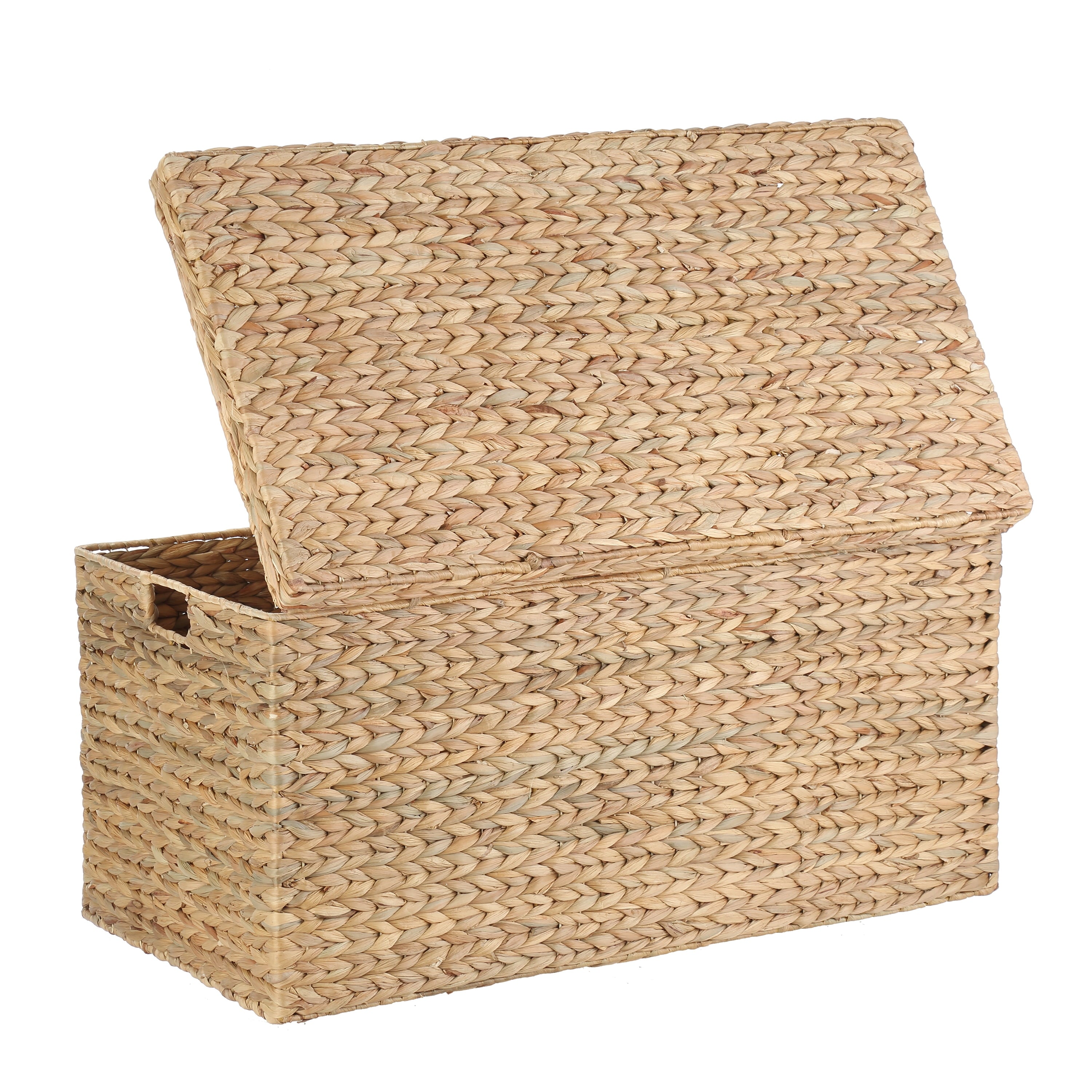  XL Hyacinth Storage Trunk