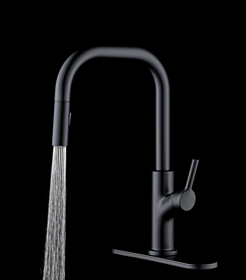  Sleek Simplicity Matte Black Pull Down Kitchen Faucet