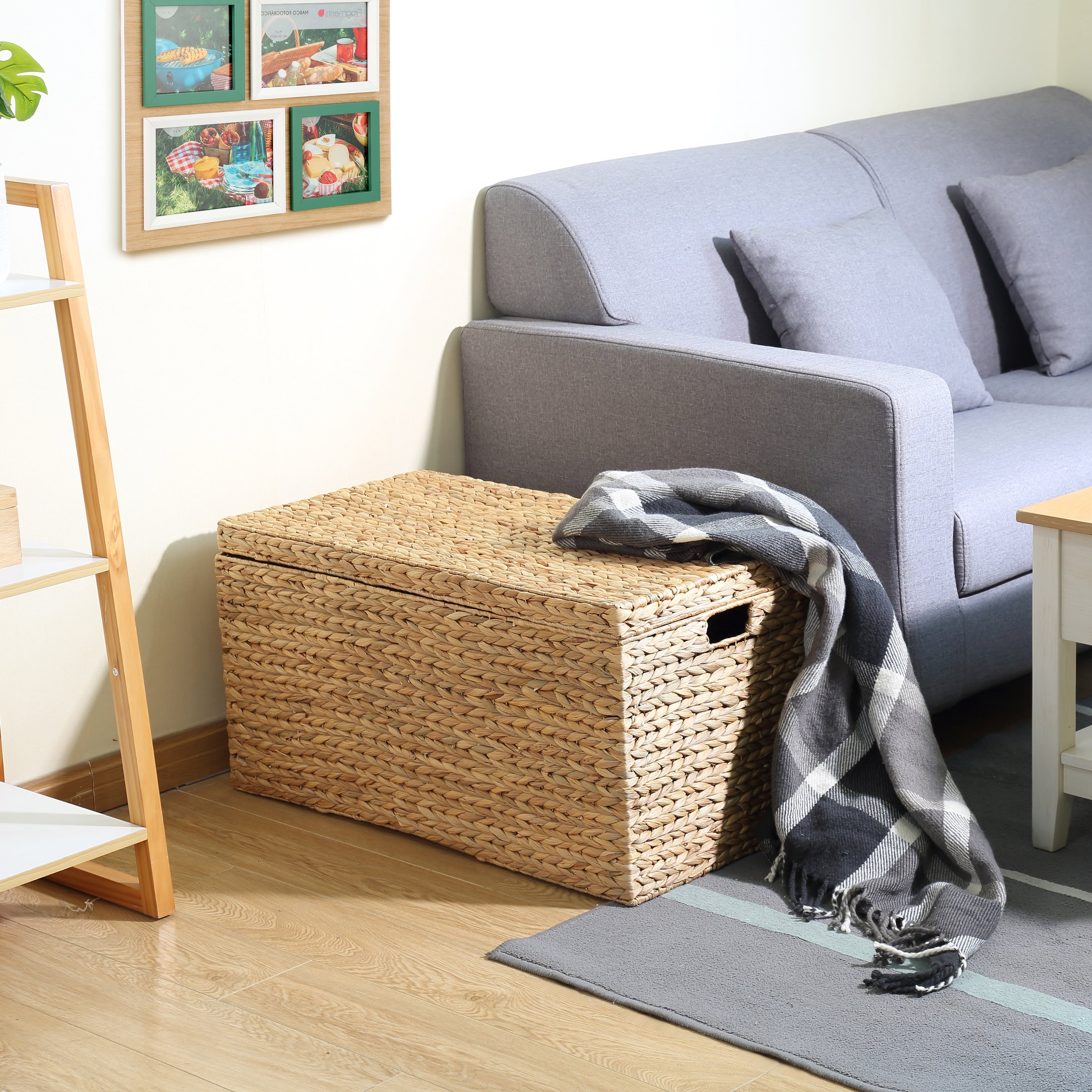  XL Hyacinth Storage Trunk